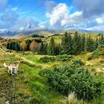 Nykmark - Eco House - Ristinden Vestvagoy
