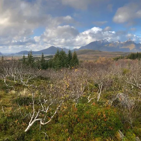 Nykmark - Eco House - Ristinden Vestvagoy