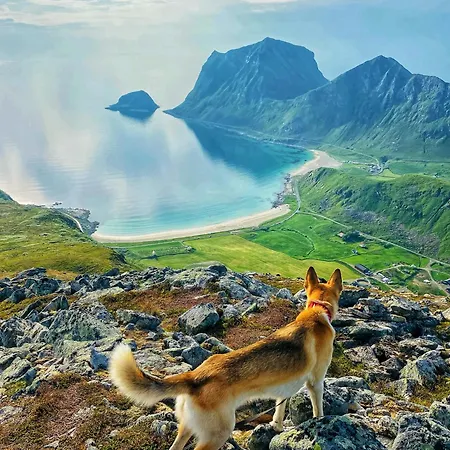 Nykmark - Eco House - Ristinden Vestvagoy