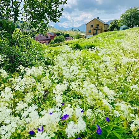 Nykmark - Eco House - Ristinden Landhaus Vestvagoy
